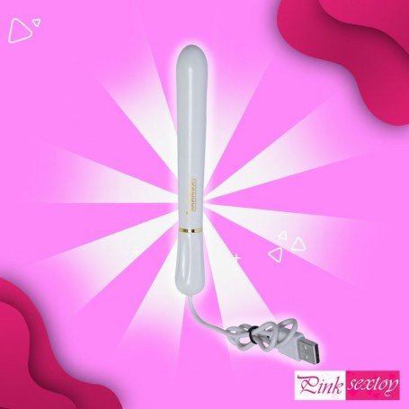 Xuanai Brand LED Luminous Waterproof USB Heating rods LXV-008