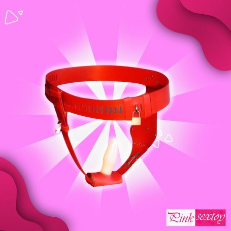 Chastity Lock Device for Women BDSM-002